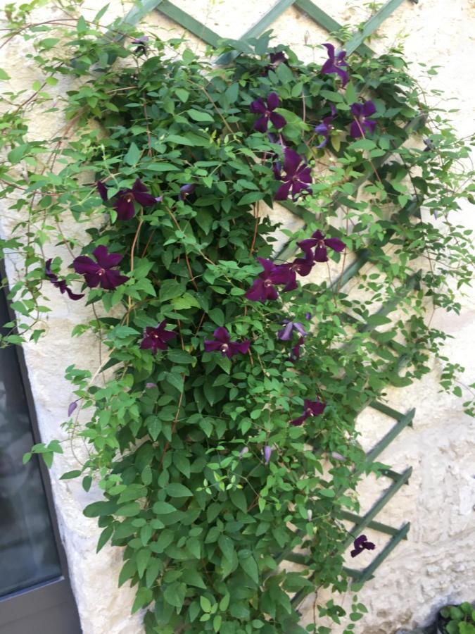 Chambre Sur Jardin Secret - Avignon Centre - Climatisee Екстериор снимка