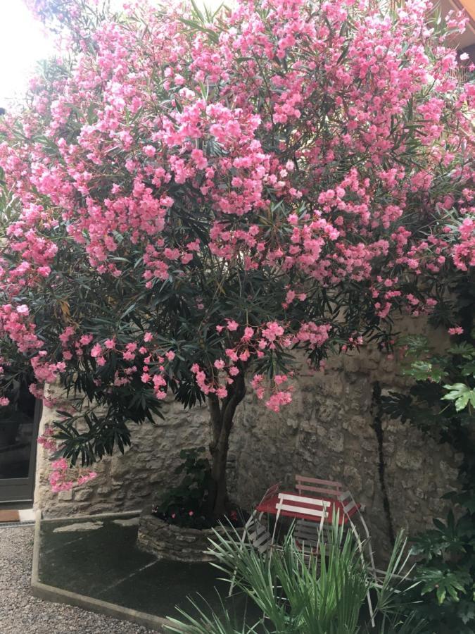 Chambre Sur Jardin Secret - Avignon Centre - Climatisee Екстериор снимка